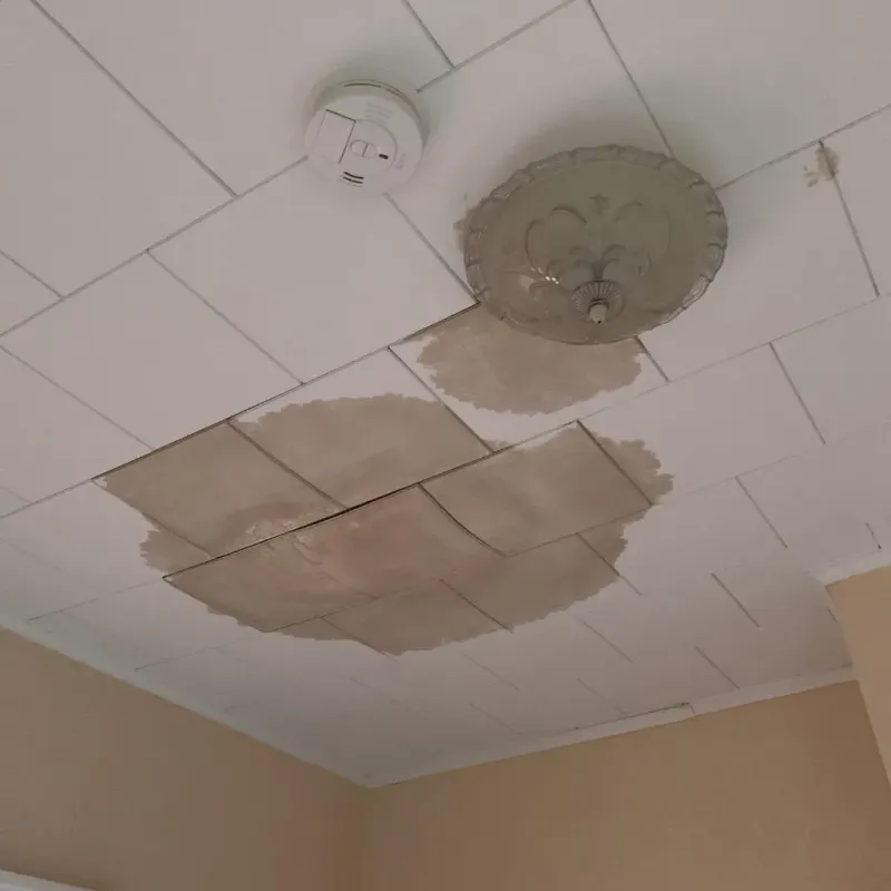 Ceiling Water Damage Repair in Lampasas, TX