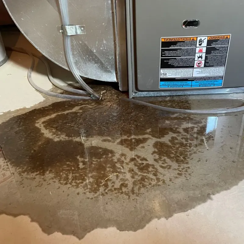Pipe Burst and Leak Restoration in Lampasas, TX