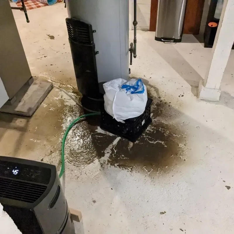 Sewage Backup Cleanup Service in Lampasas, TX